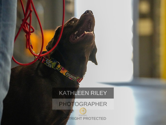 2022-KathleenRileyPhotography-03836