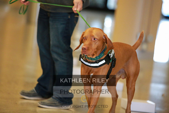 2022-KathleenRileyPhotography-7588