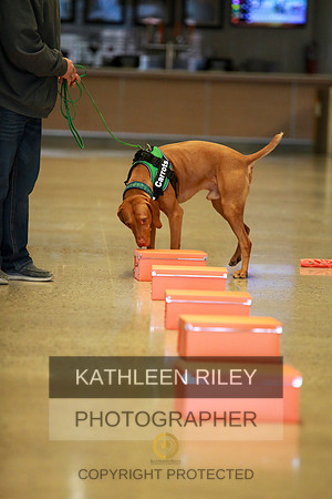 2022-KathleenRileyPhotography-7594
