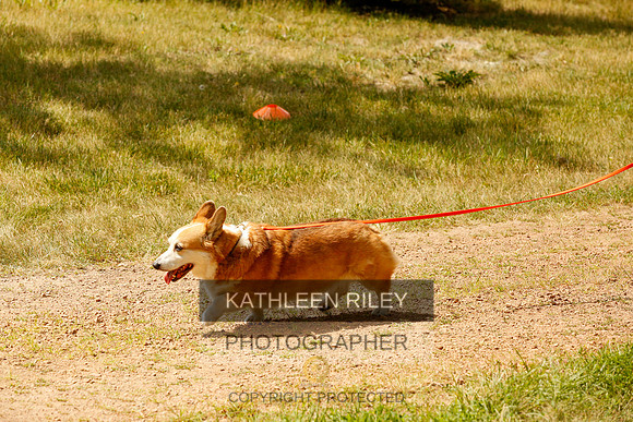 2022-KathleenRileyPhotography-0349