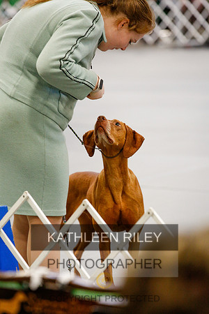 2022-KathleenRileyPhotography-0882