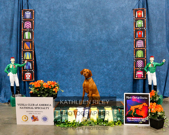 2022-KathleenRileyPhotography-1213