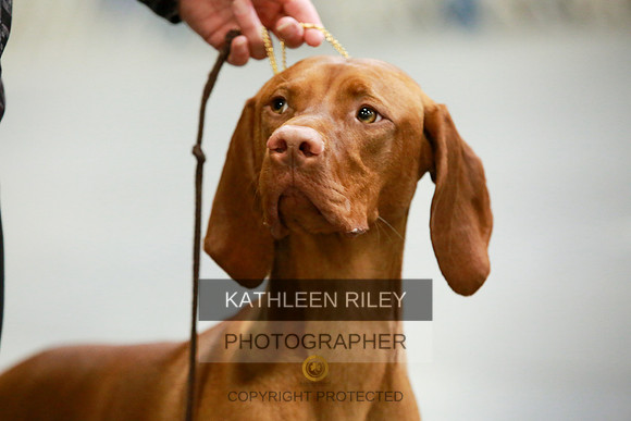 2022-KathleenRileyPhotography-8625
