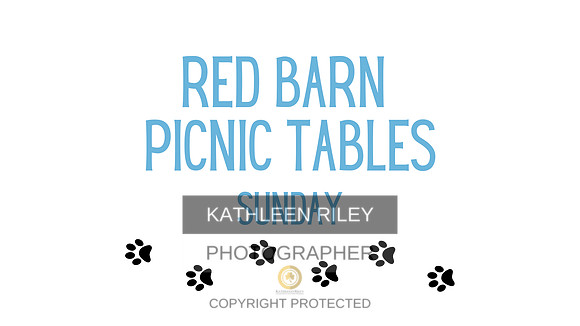 RED BARN PICNIC TABLES