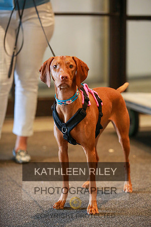 2022-KathleenRileyPhotography-7600