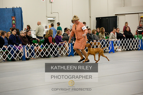 2022-KathleenRileyPhotography-1149