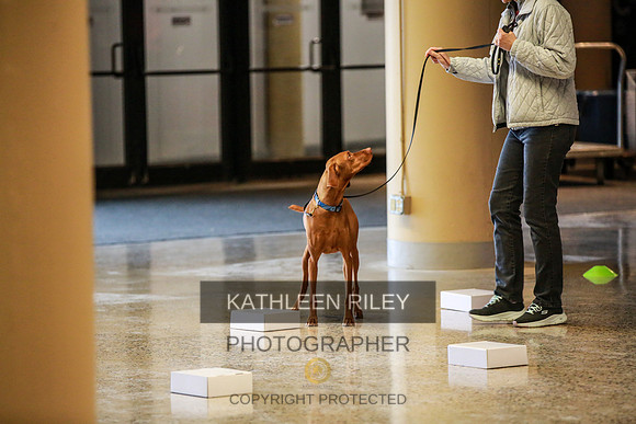 2022-KathleenRileyPhotography-7351