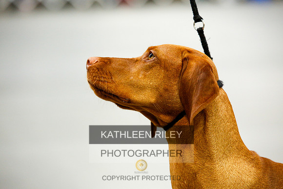 2022-KathleenRileyPhotography-9790
