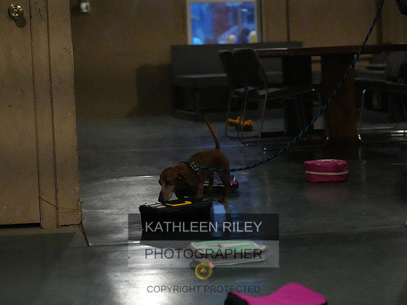 2022-KathleenRileyPhotography163