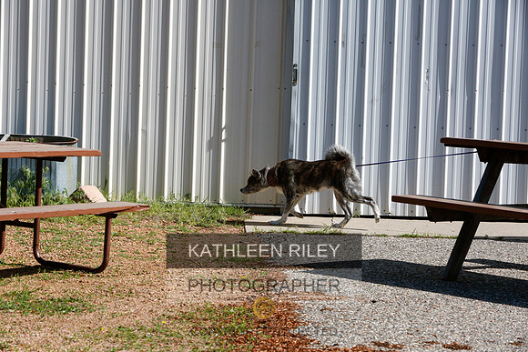 2022-KathleenRileyPhotography-9537