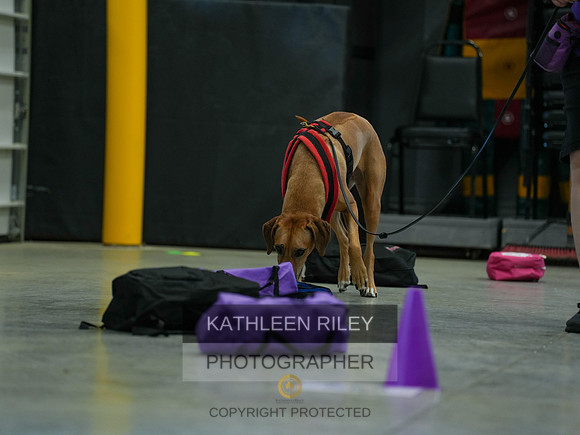 2022-KathleenRileyPhotography-03787