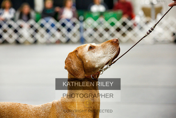 2022-KathleenRileyPhotography-0127