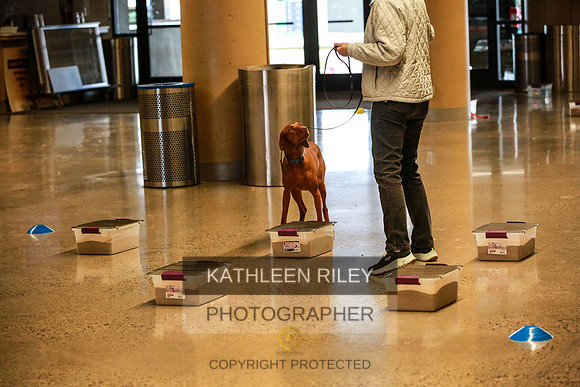 2022-KathleenRileyPhotography-7344