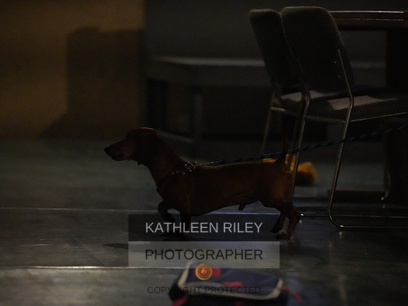 2022-KathleenRileyPhotography147
