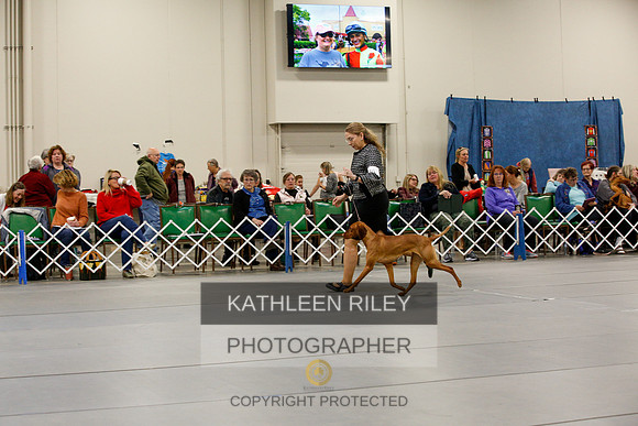 2022-KathleenRileyPhotography-9465