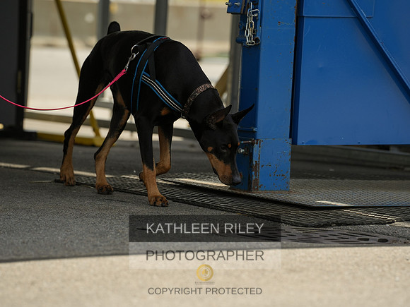 2022-KathleenRileyPhotography-04361