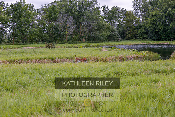 2022-KathleenRileyPhotography-3410