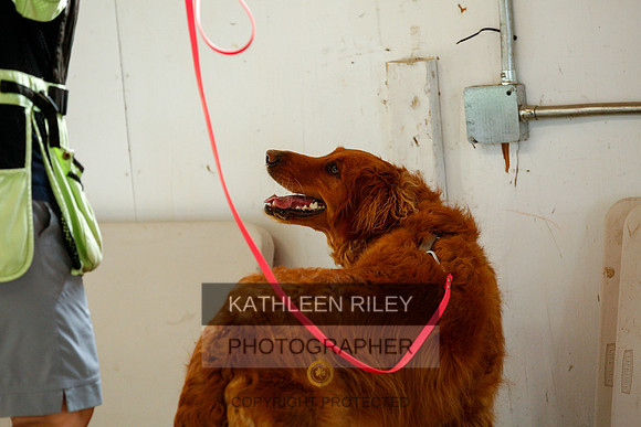 2022-KathleenRileyPhotography-9313