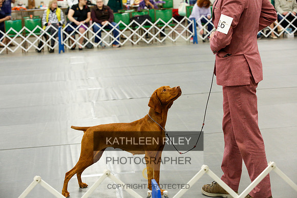 2022-KathleenRileyPhotography-0587