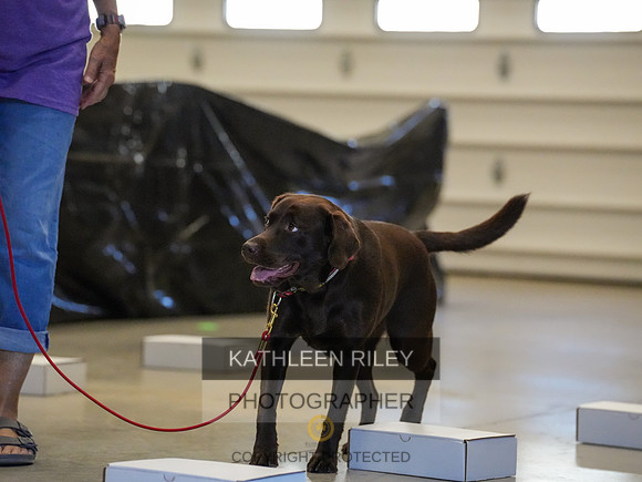 2022-KathleenRileyPhotography-03840
