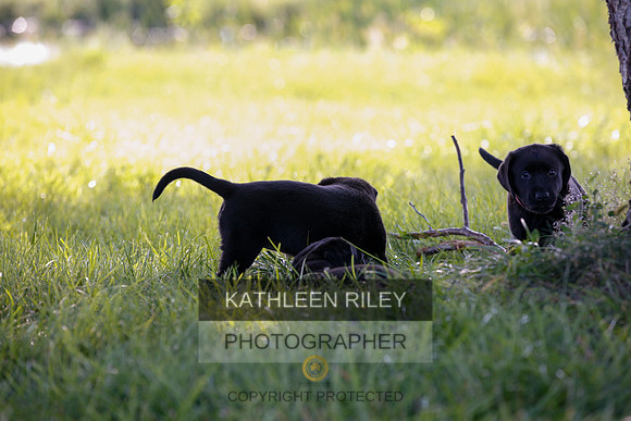 2022-KathleenRileyPhotography-7897